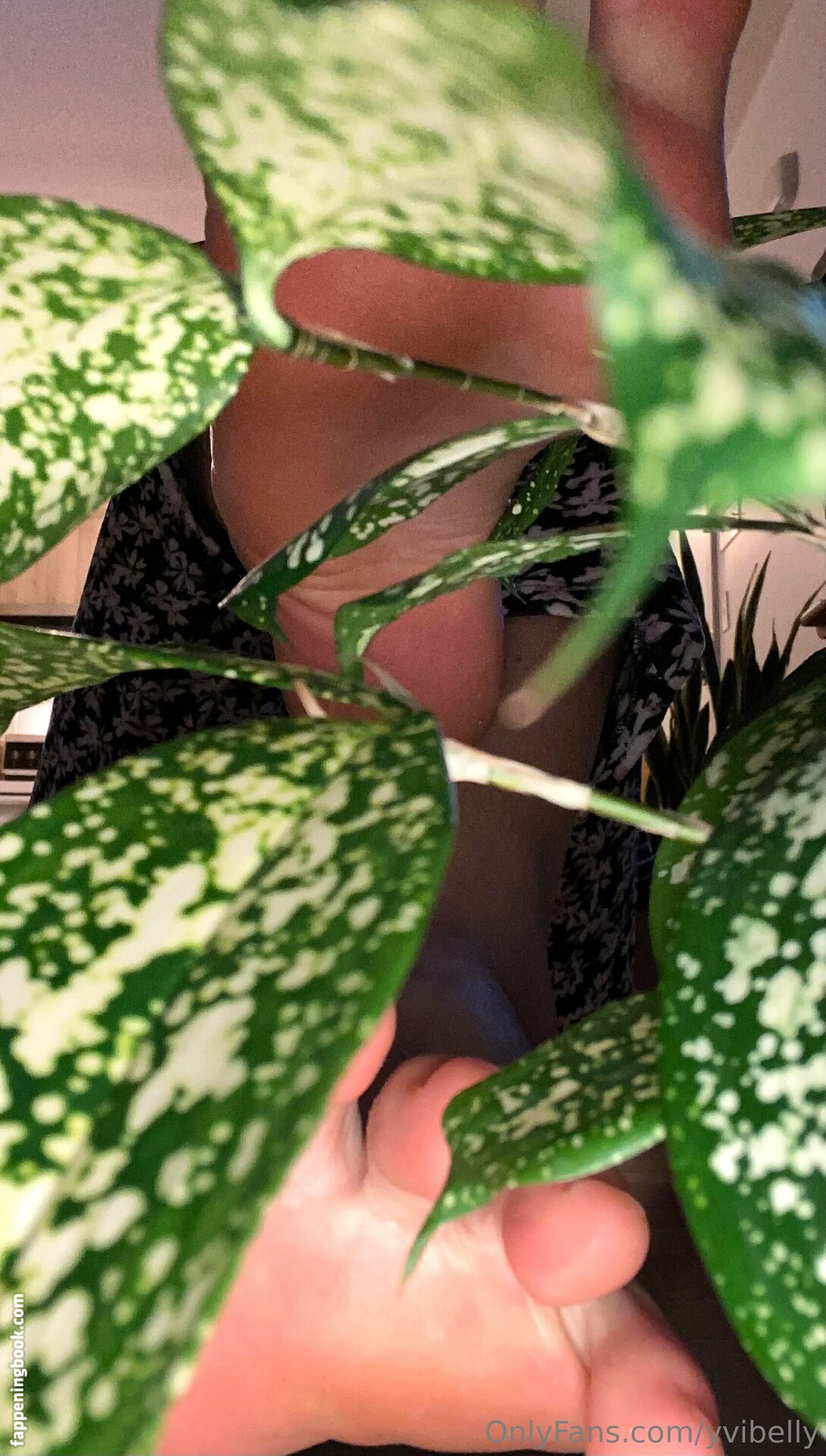 yvibelly Onlyfans Nude Leaked Photos photo leak 14 of 27