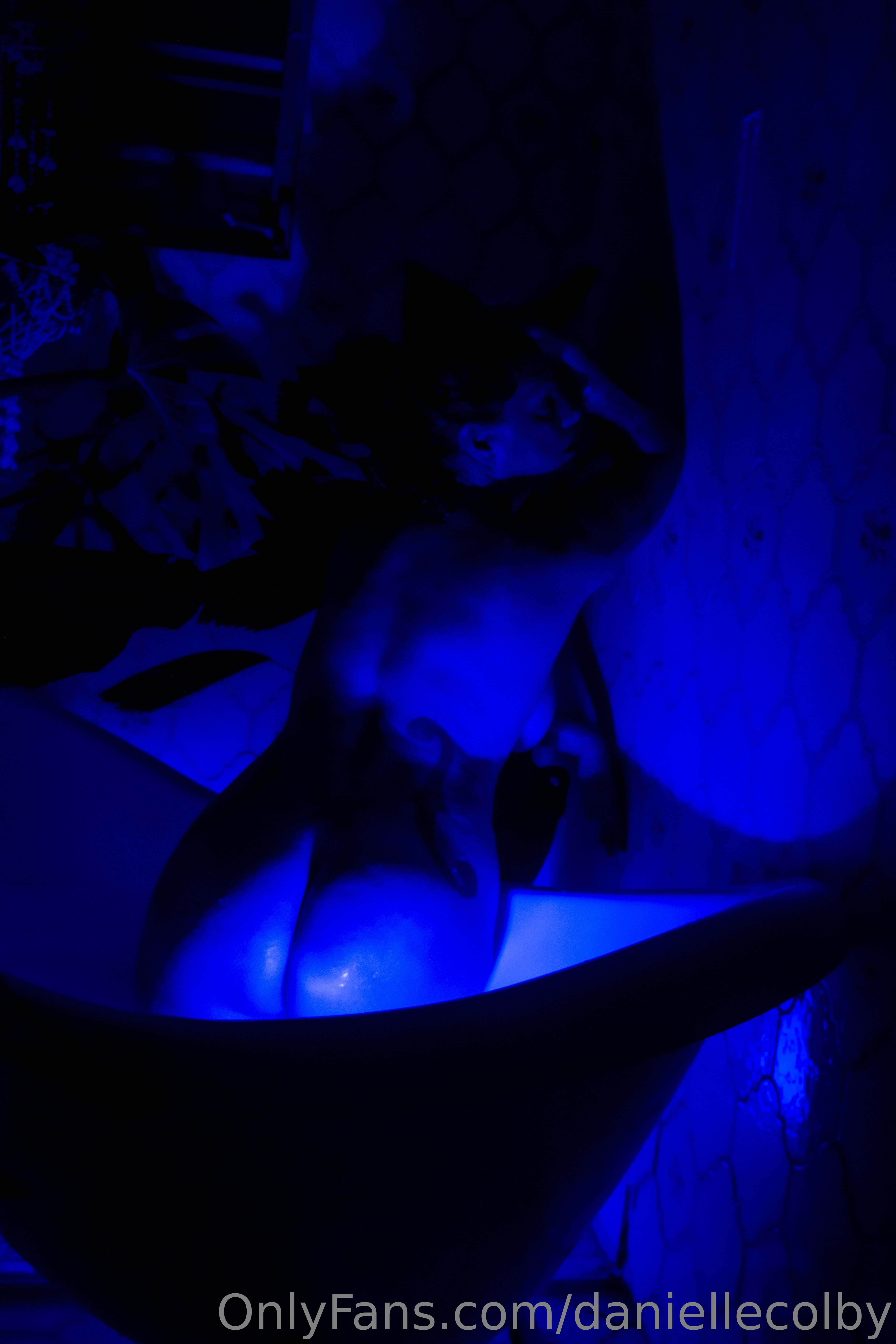 3840x5760_e1fd8643d4fcd7d463a99b992d48f6315edba9f33cb46041.md.jpg