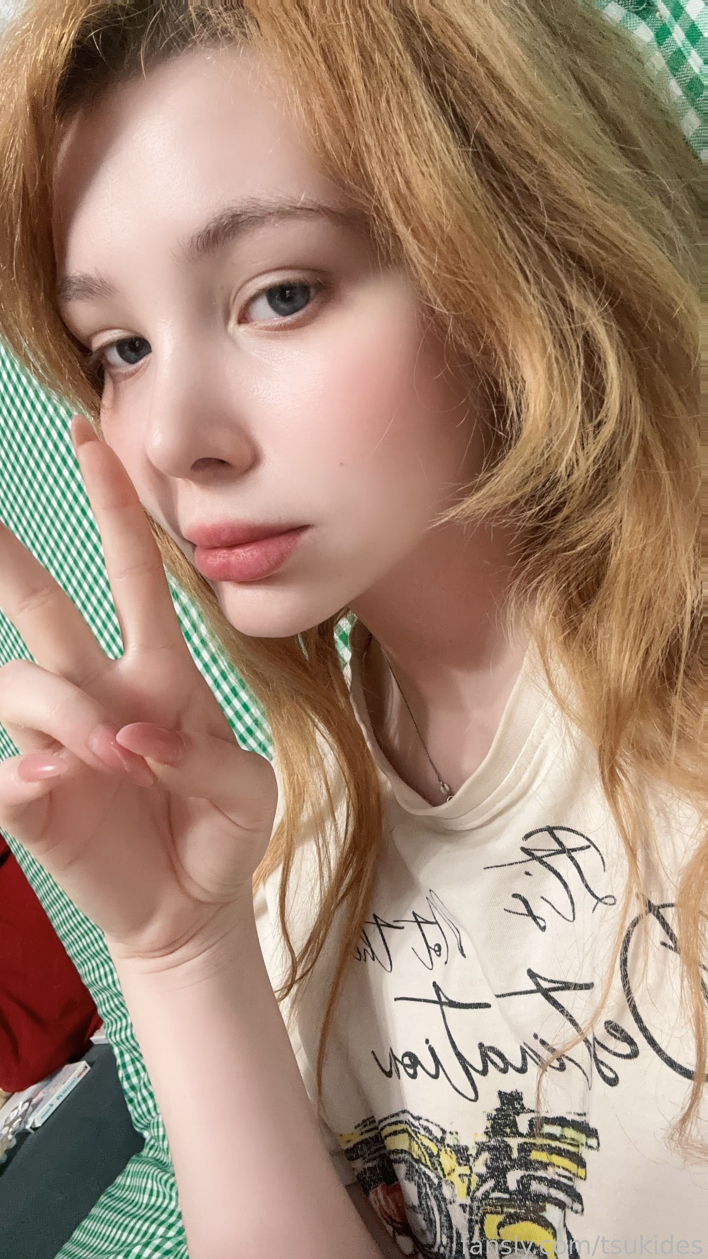 Dosya Gasai/Tsuki.Des Patreon Nude Leaks photo leak 1262 of 2104