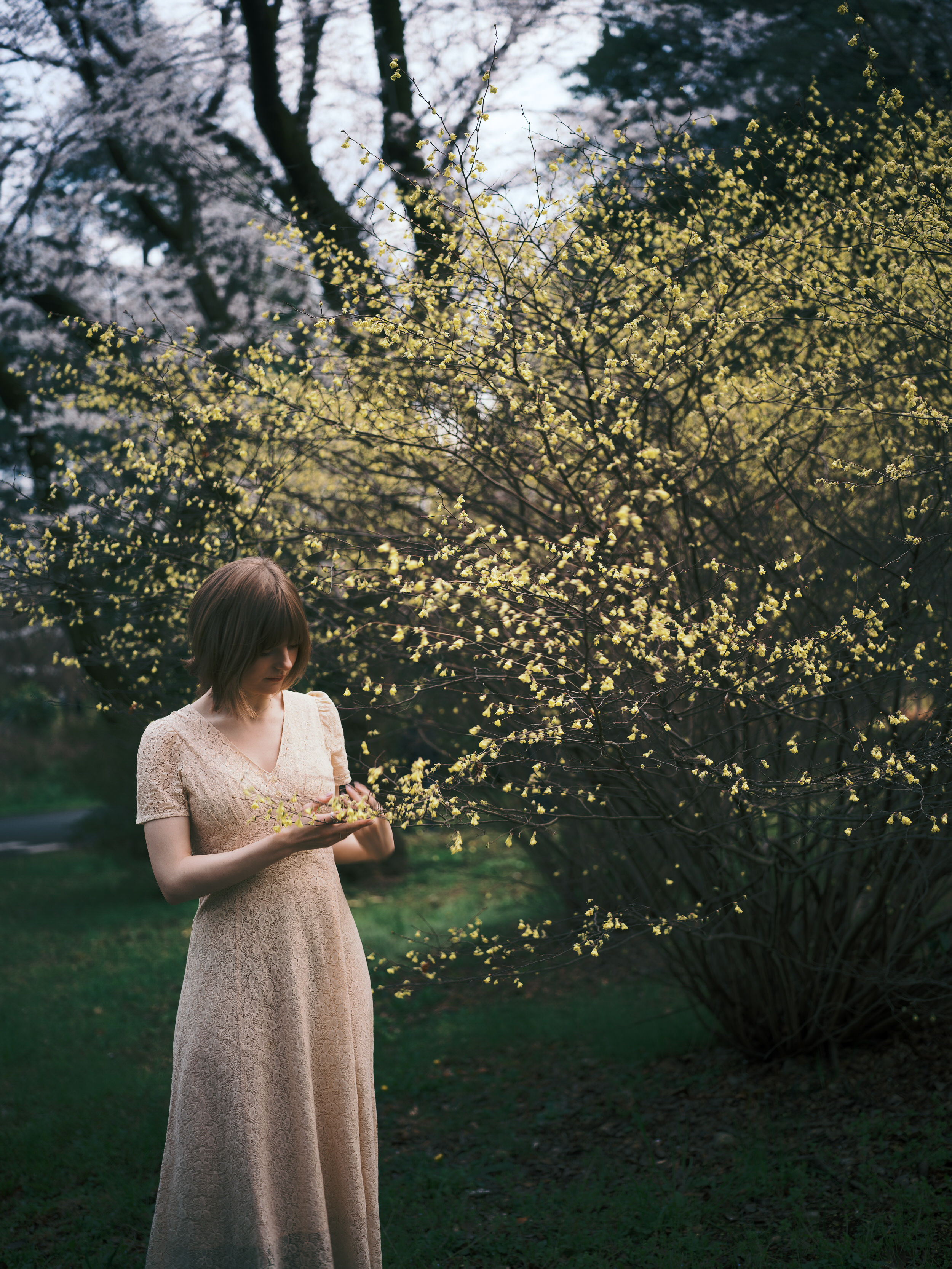 Ella Freya Patreon Nude Leaks photo leak 78 of 1929