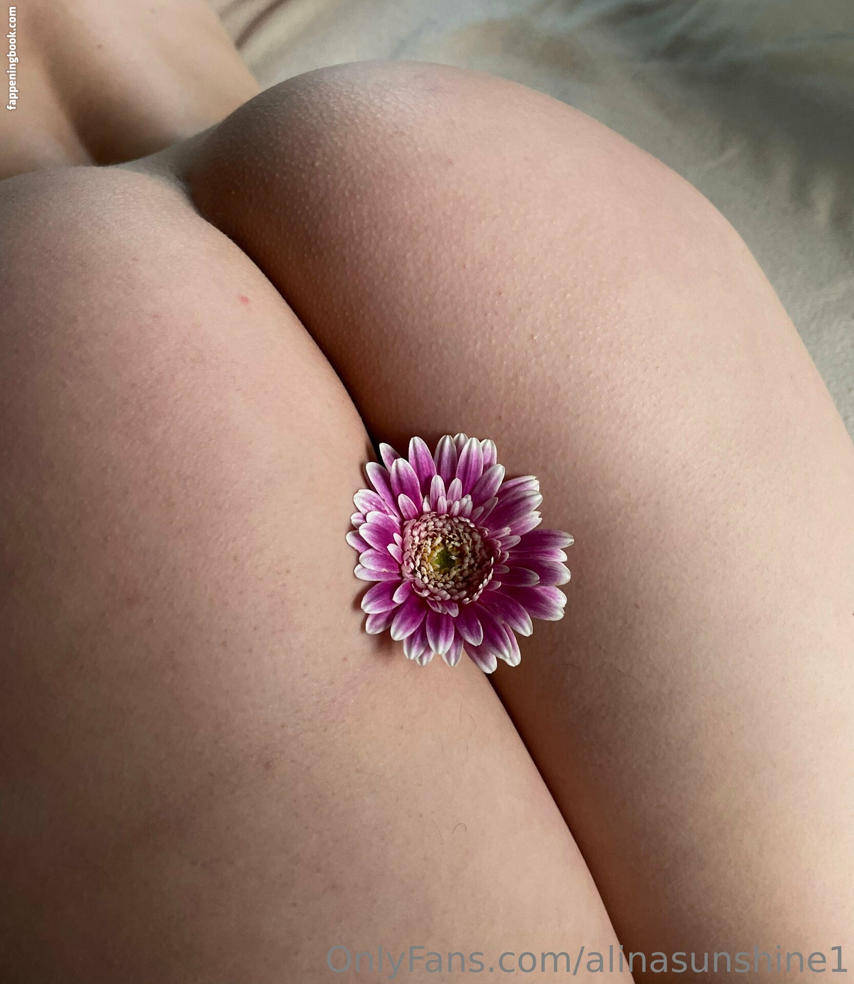 alinasunshine1 Onlyfans Nude Leaked Photos photo leak 38 of 43
