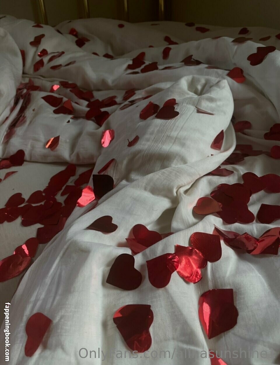 alinasunshine1 Onlyfans Nude Leaked Photos photo leak 39 of 43