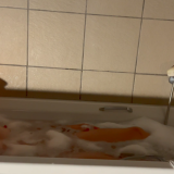 MissIncandescent / IncandescentCouple ManyVids Nude Leaks photo leak 11 of 13 MissIncandescent / IncandescentCouple ManyVids Nude Leaks photo leak 11 of 13