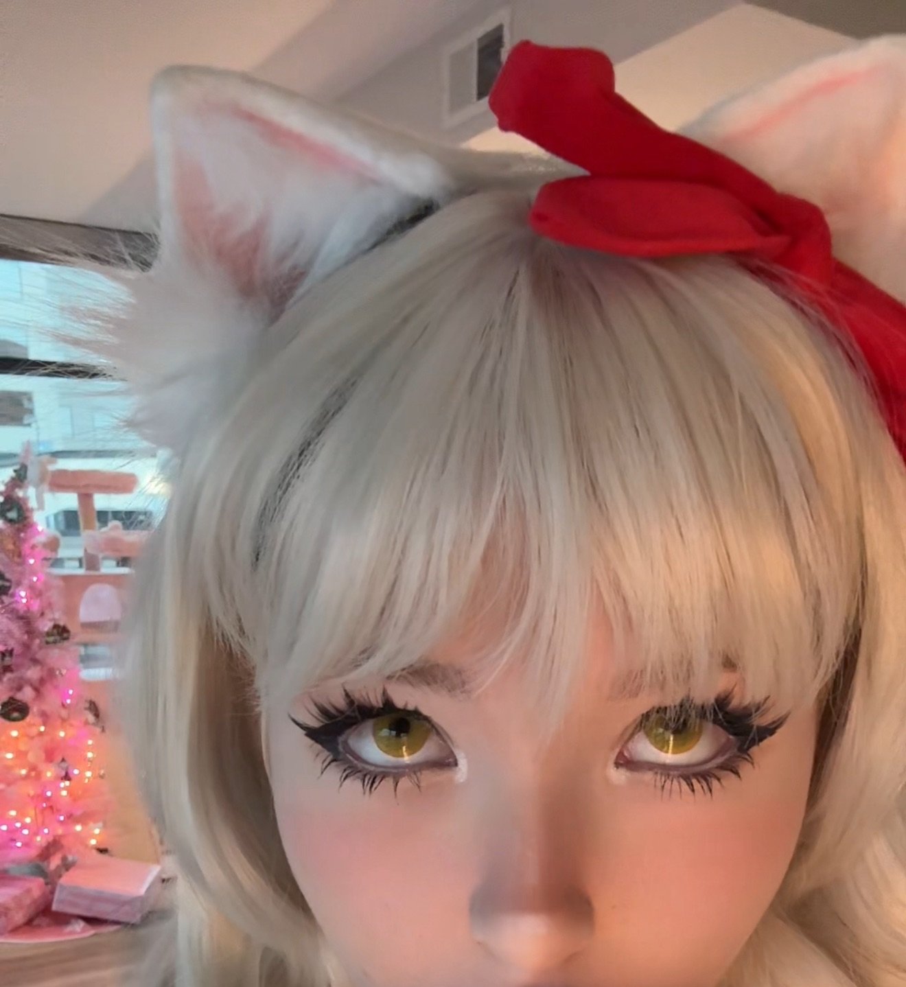 Pockycats Patreon Nude Leaks photo leak 49 of 166