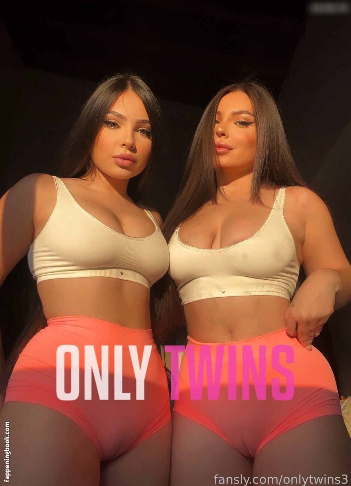 Only Twins Hillary & Lesly Onlyfans Nude Leaked Photos photo leak 23 of 47