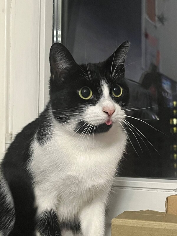Takeomeow Patreon Nude Leaks photo leak 23 of 26
