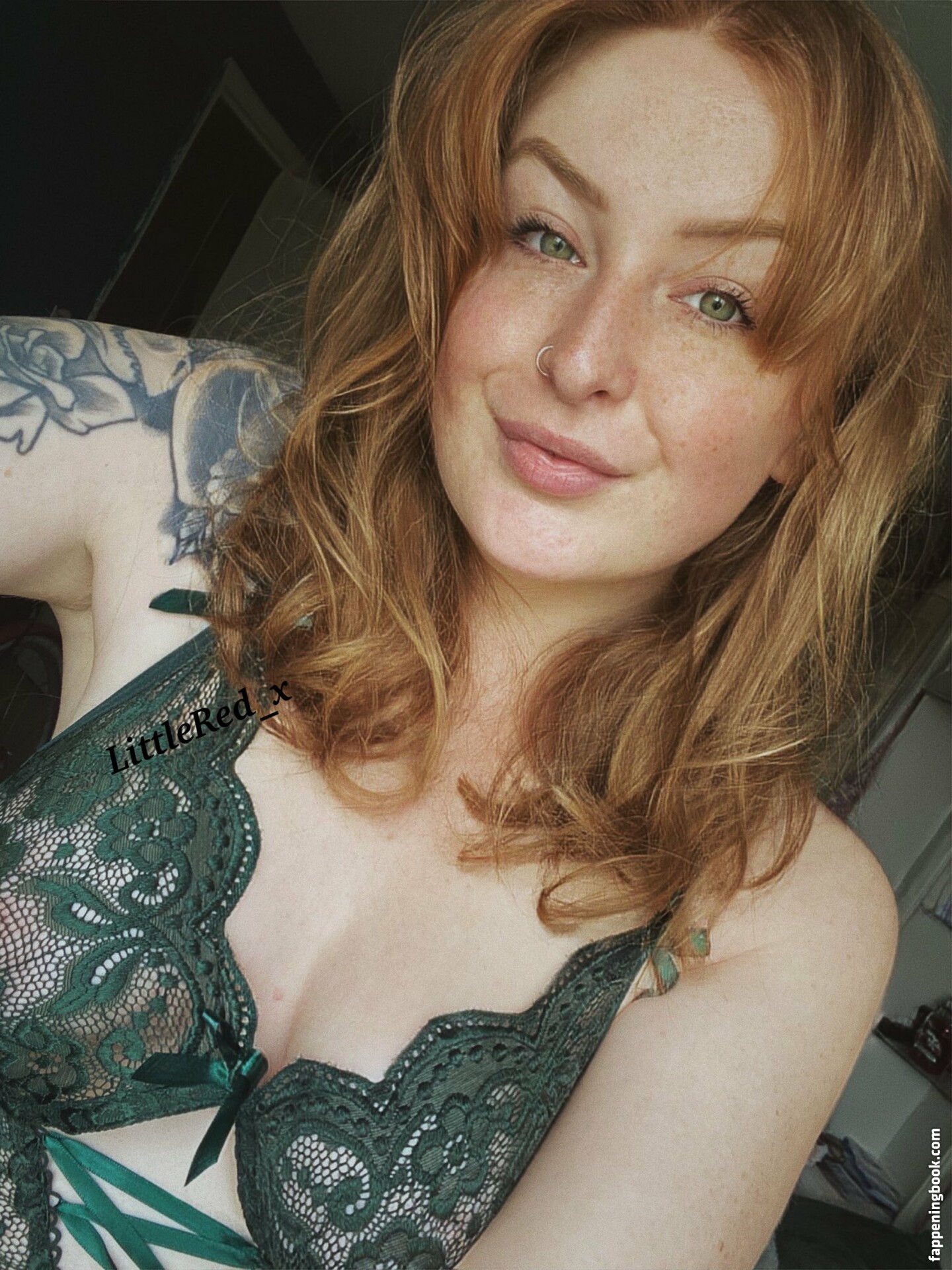 LittleRed_x Onlyfans Nude Leaked Photos photo leak 23 of 48