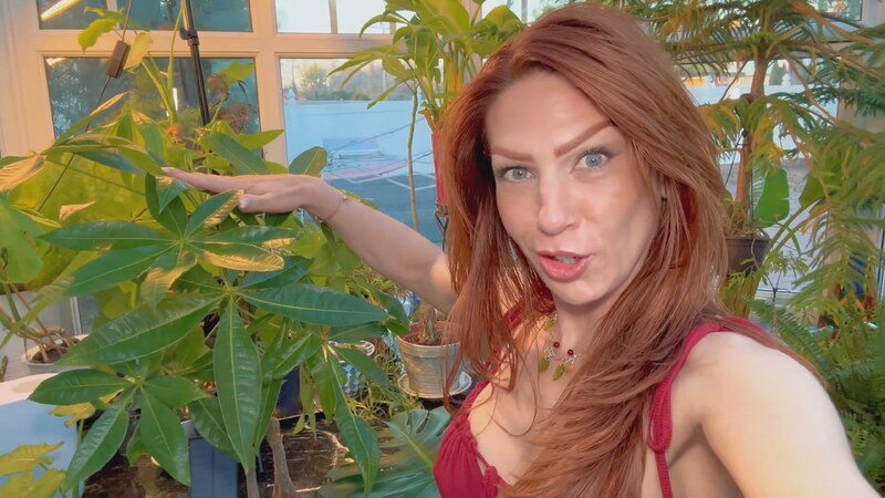 TrophyWifeNat ManyVids Nude Leaks photo leak 72 of 112
