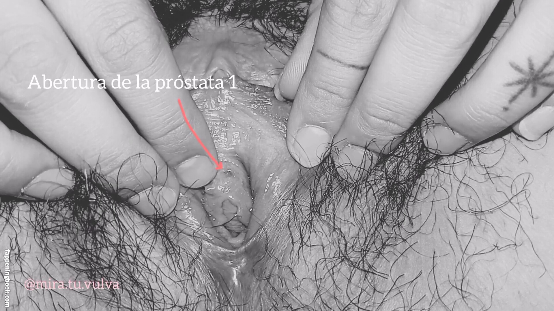 Professionals Onlyfans Nude Leaked Photos photo leak 1 of 31