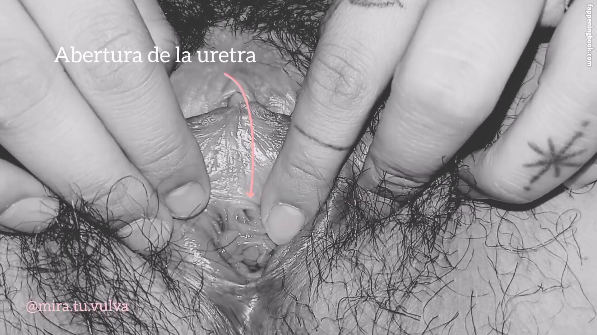 Professionals Onlyfans Nude Leaked Photos photo leak 2 of 31