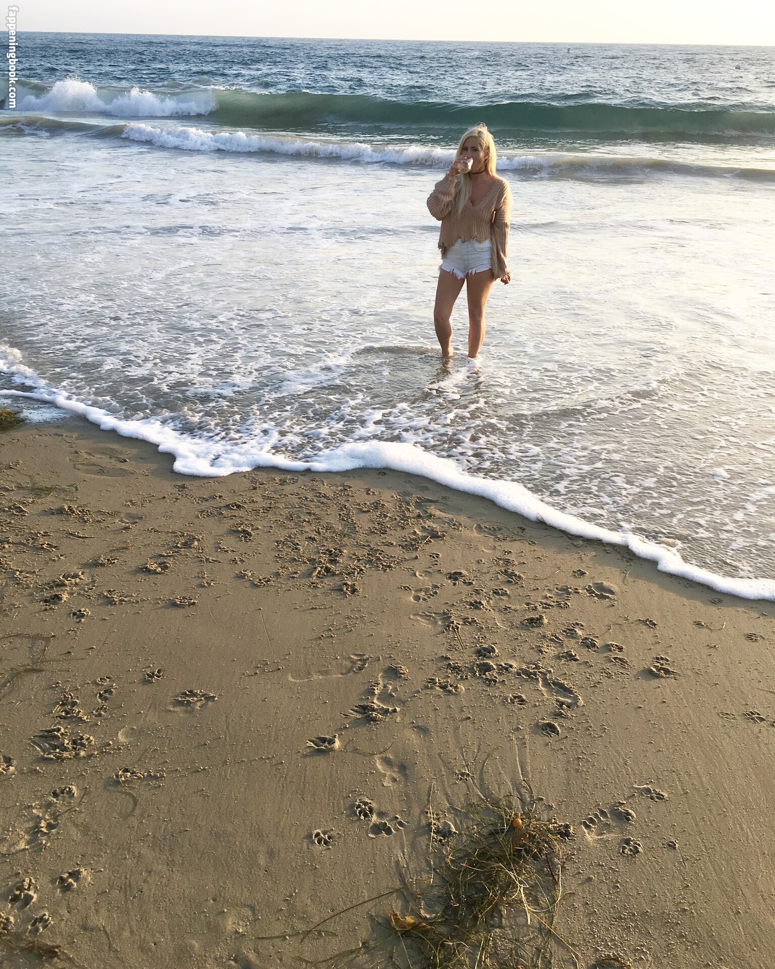 tashareign Onlyfans Nude Leaked Photos photo leak 34 of 38