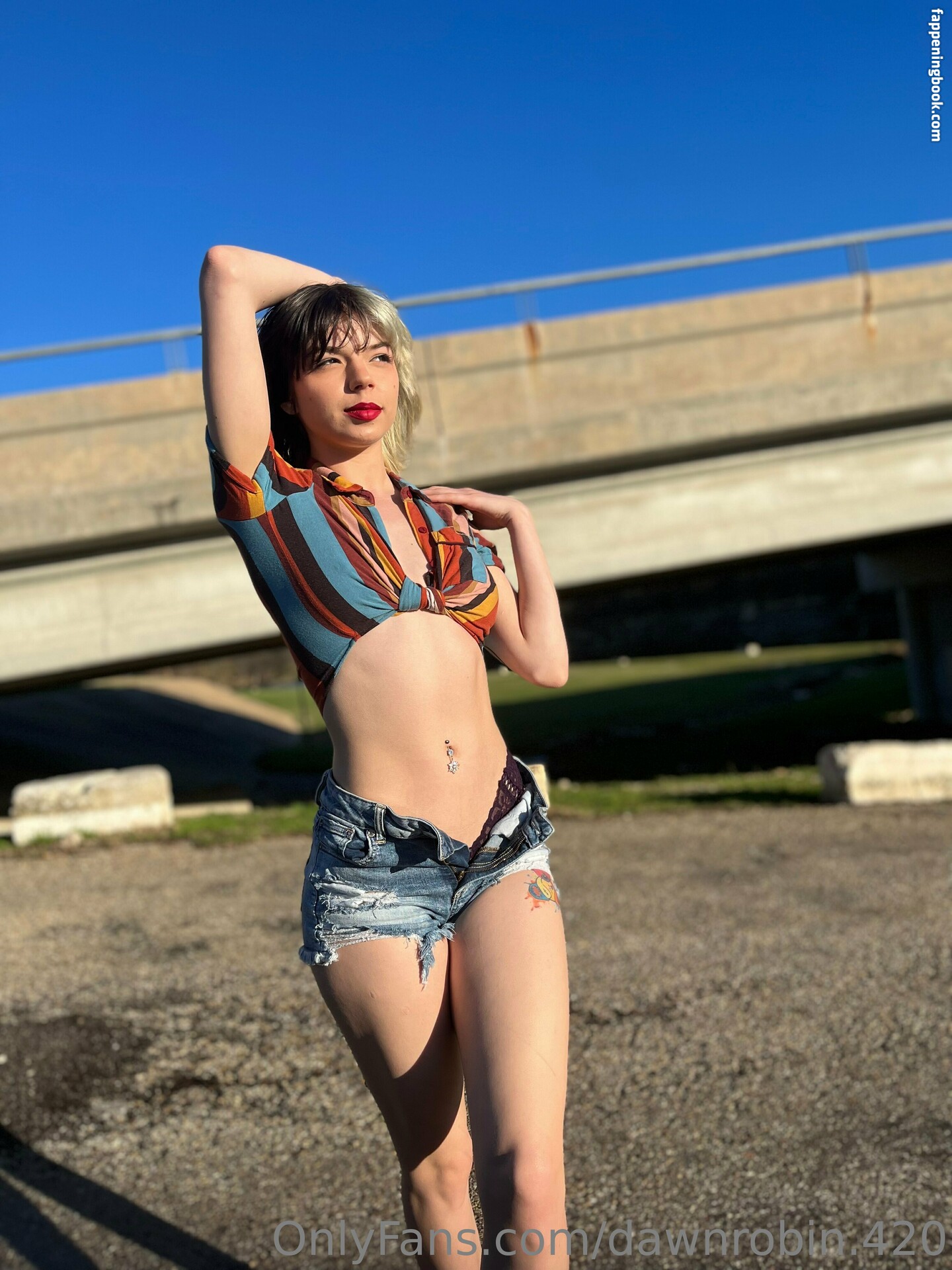 dawnrobin.420 Onlyfans Nude Leaked Photos photo leak 22 of 40