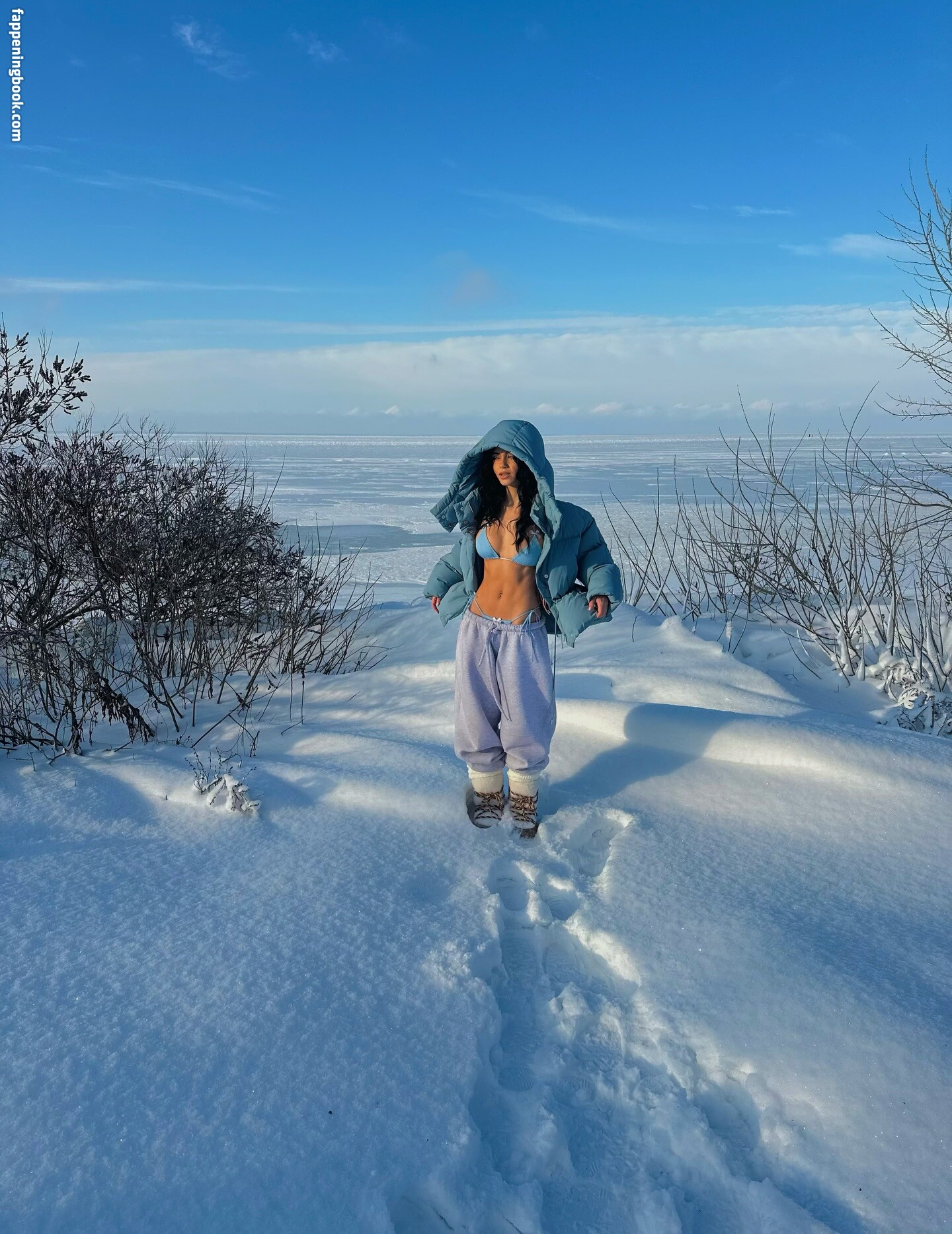 Sofia Chernasova Onlyfans Nude Leaked Photos photo leak 16 of 50