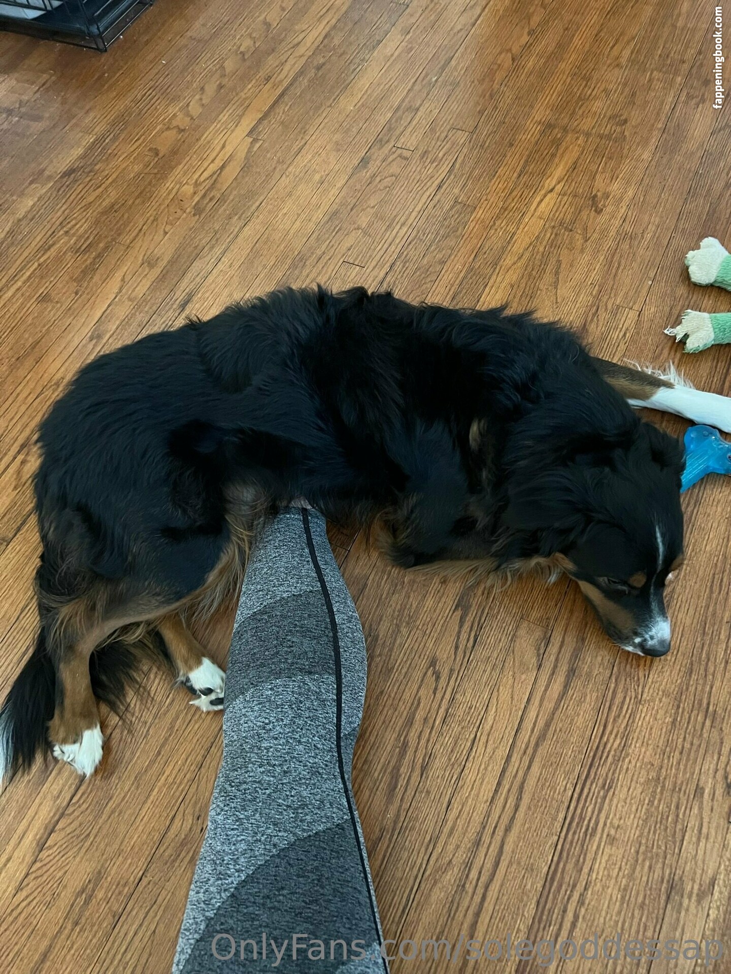 solegoddessap Onlyfans Nude Leaked Photos photo leak 13 of 24 solegoddessap Onlyfans Nude Leaked Photos photo leak 13 of 24