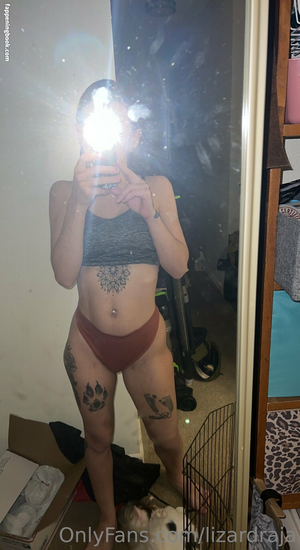 lizardraja Onlyfans Nude Leaked Photos photo leak 14 of 18 lizardraja Onlyfans Nude Leaked Photos photo leak 14 of 18