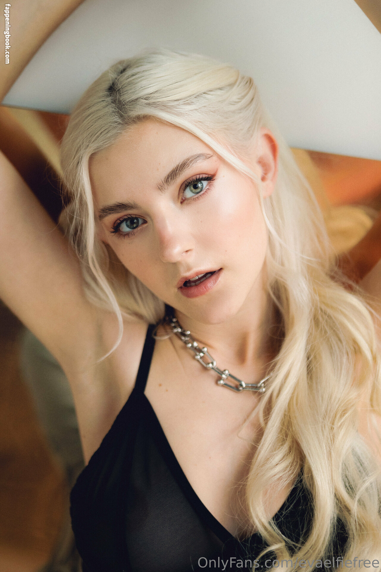 evaelfiefree Onlyfans Nude Leaked Photos photo leak 17 of 50