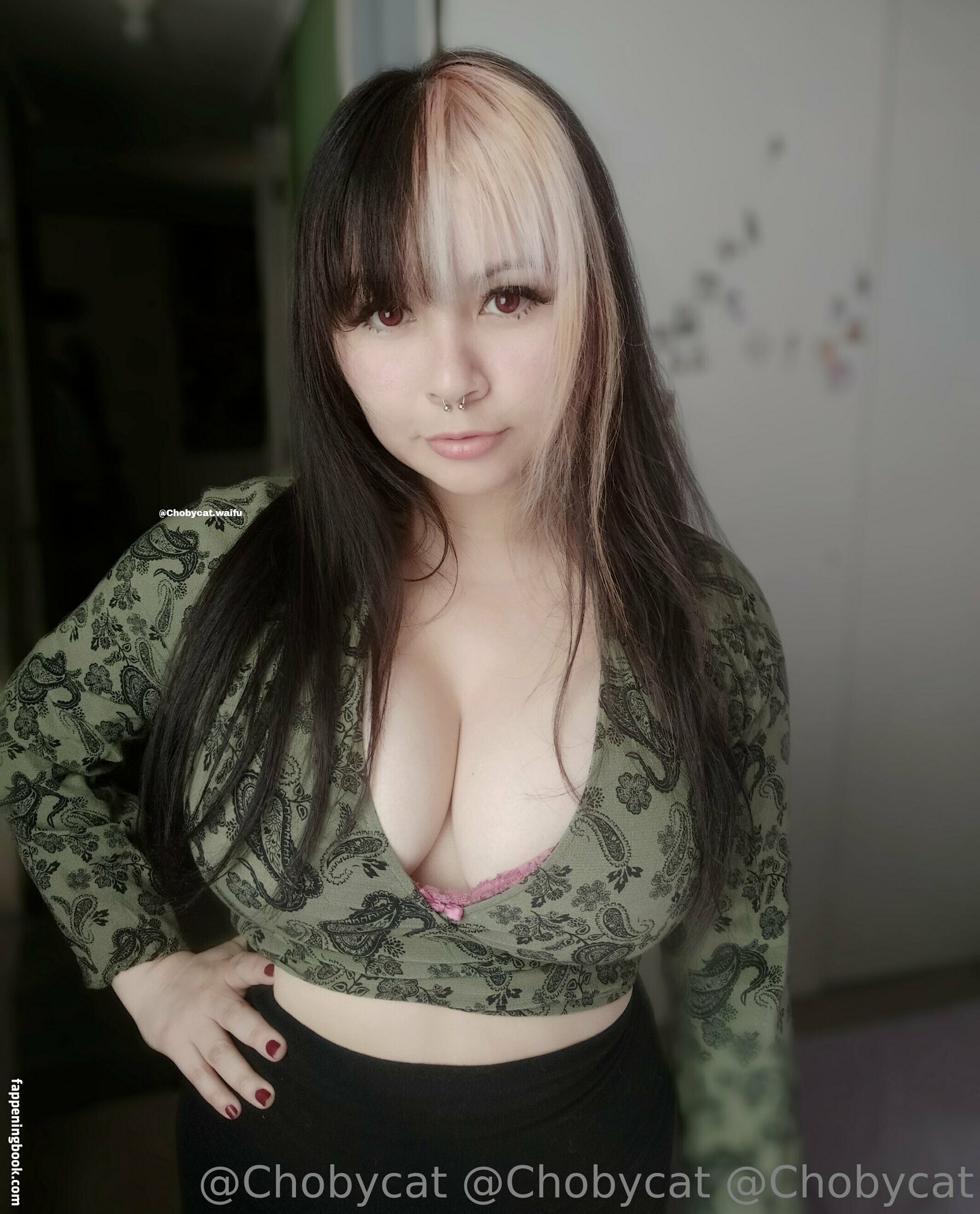 chobycat Onlyfans Nude Leaked Photos photo leak 13 of 48