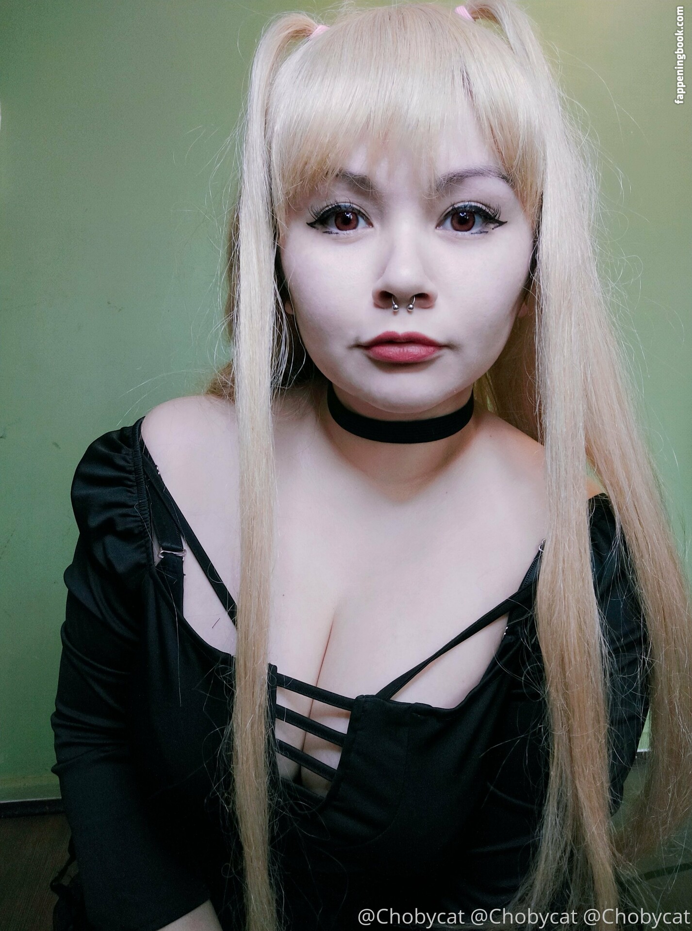 chobycat Onlyfans Nude Leaked Photos photo leak 45 of 48