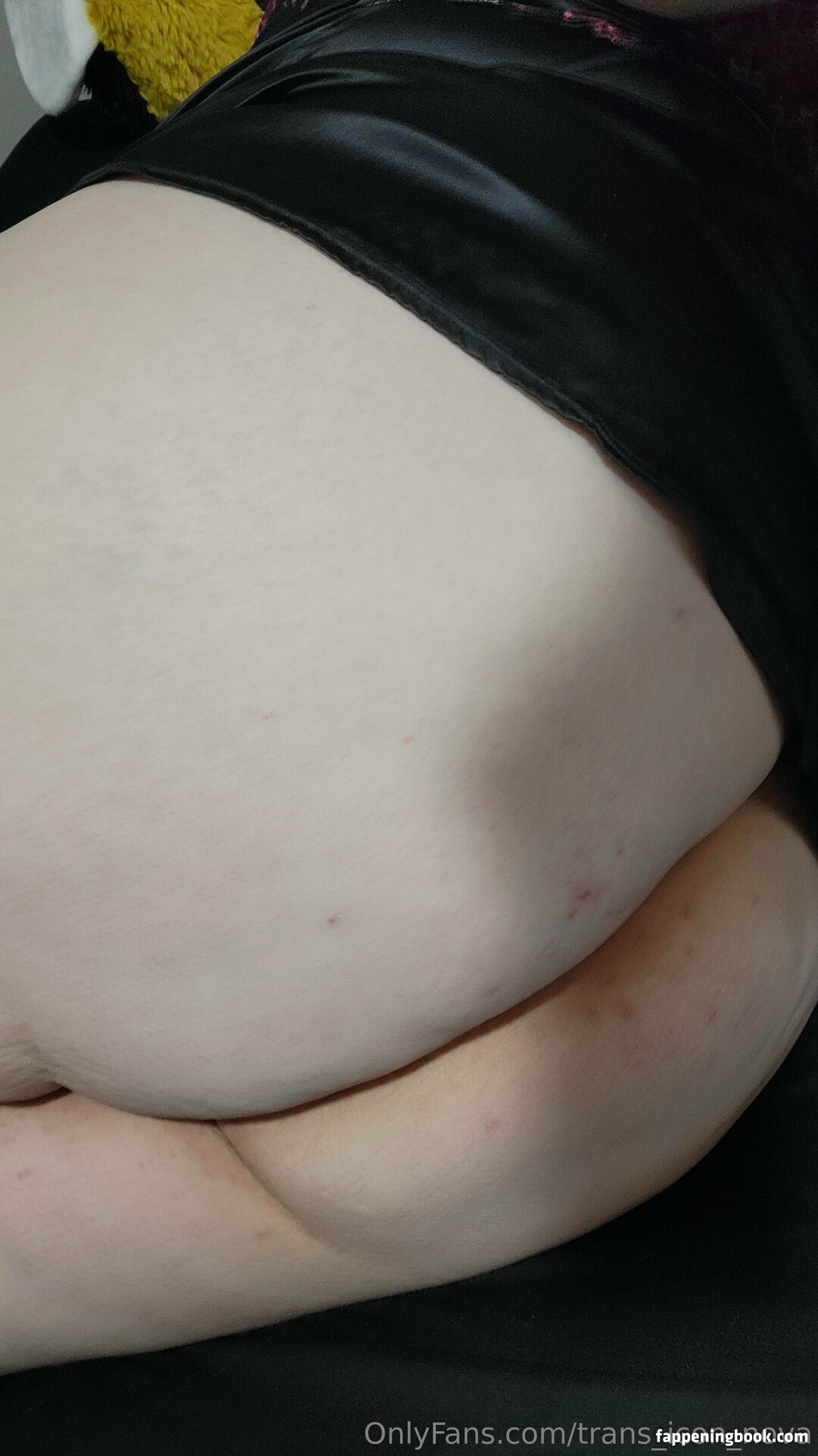 trans_icon_nova Onlyfans Nude Leaked Photos photo leak 19 of 27