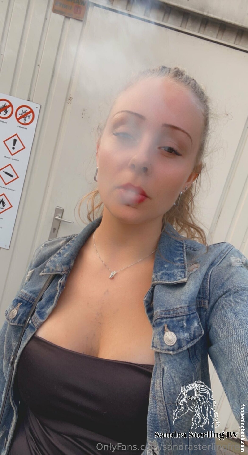 sandrasterlingfree Onlyfans Nude Leaked Photos photo leak 29 of 29