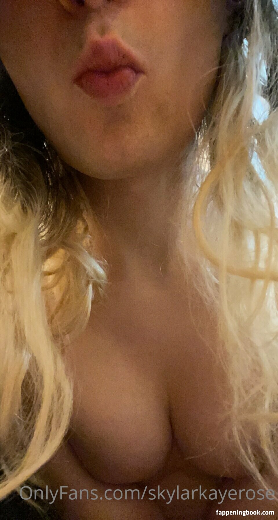 skylarkayerose Onlyfans Nude Leaked Photos photo leak 1 of 26