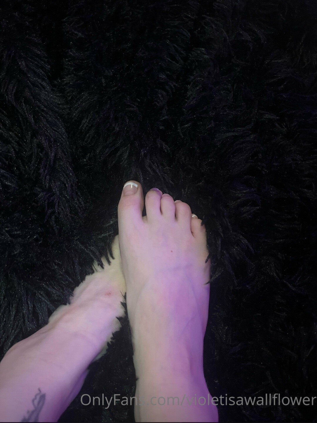 violetisawallflower / abolishegirls OnlyFans Nude Leaks photo leak 153 of 187