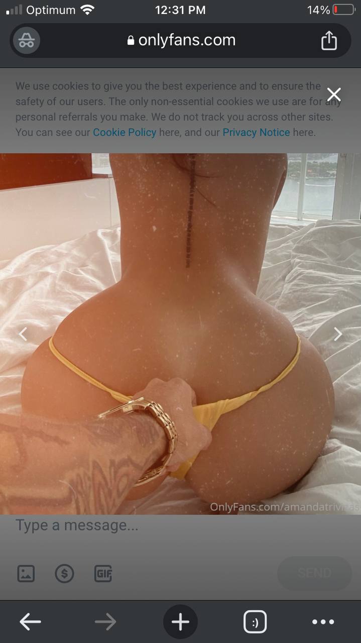Amanda Trivizas | amandatrivizas OnlyFans Nude Leaks photo leak 164 of 195