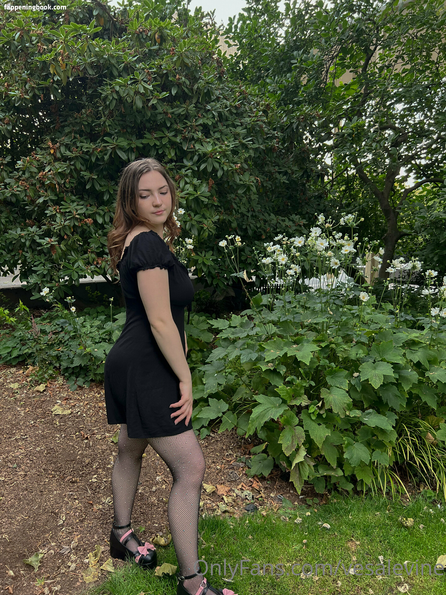Vesalevine Onlyfans Nude Leaked Photos photo leak 9 of 49