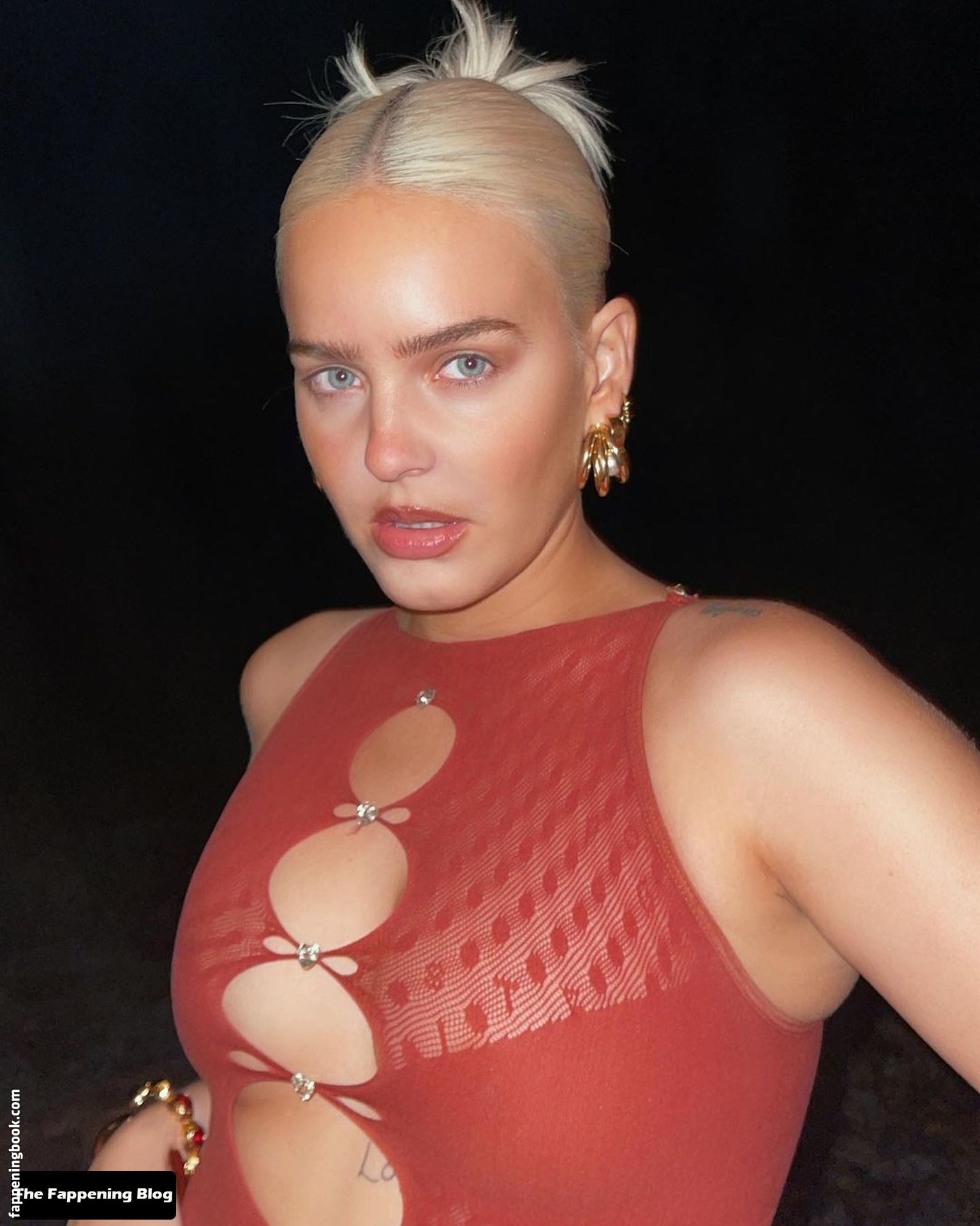 Anne-Marie Onlyfans Nude Leaked Photos photo leak 48 of 49