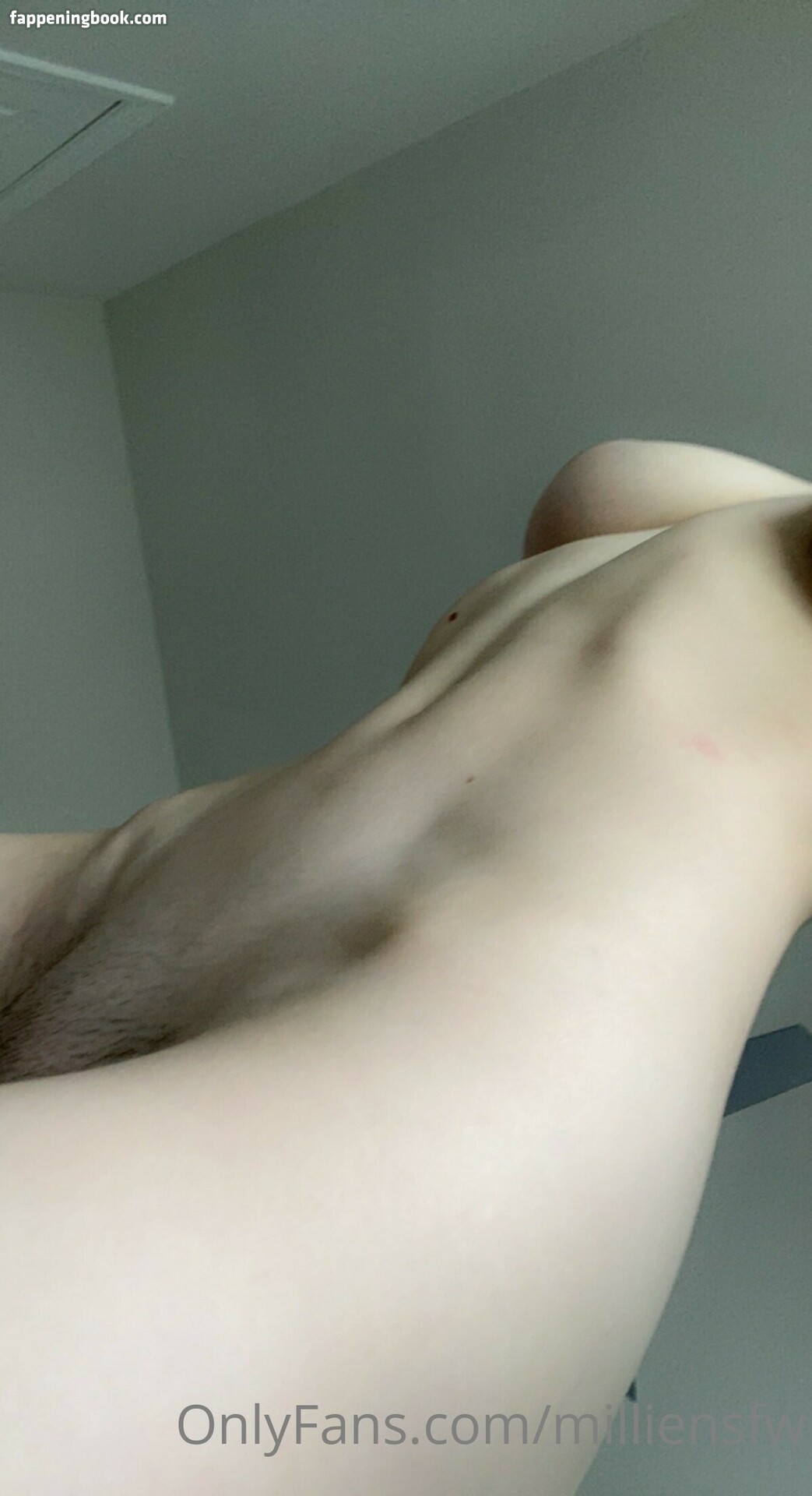 EmiliaNSFW Onlyfans Nude Leaked Photos photo leak 10 of 32