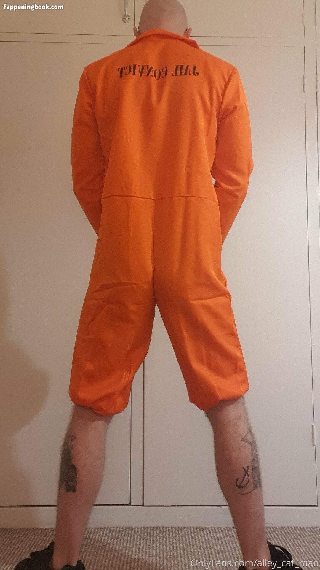 alley_cat_man Onlyfans Nude Leaked Photos photo leak 20 of 25 alley_cat_man Onlyfans Nude Leaked Photos photo leak 20 of 25