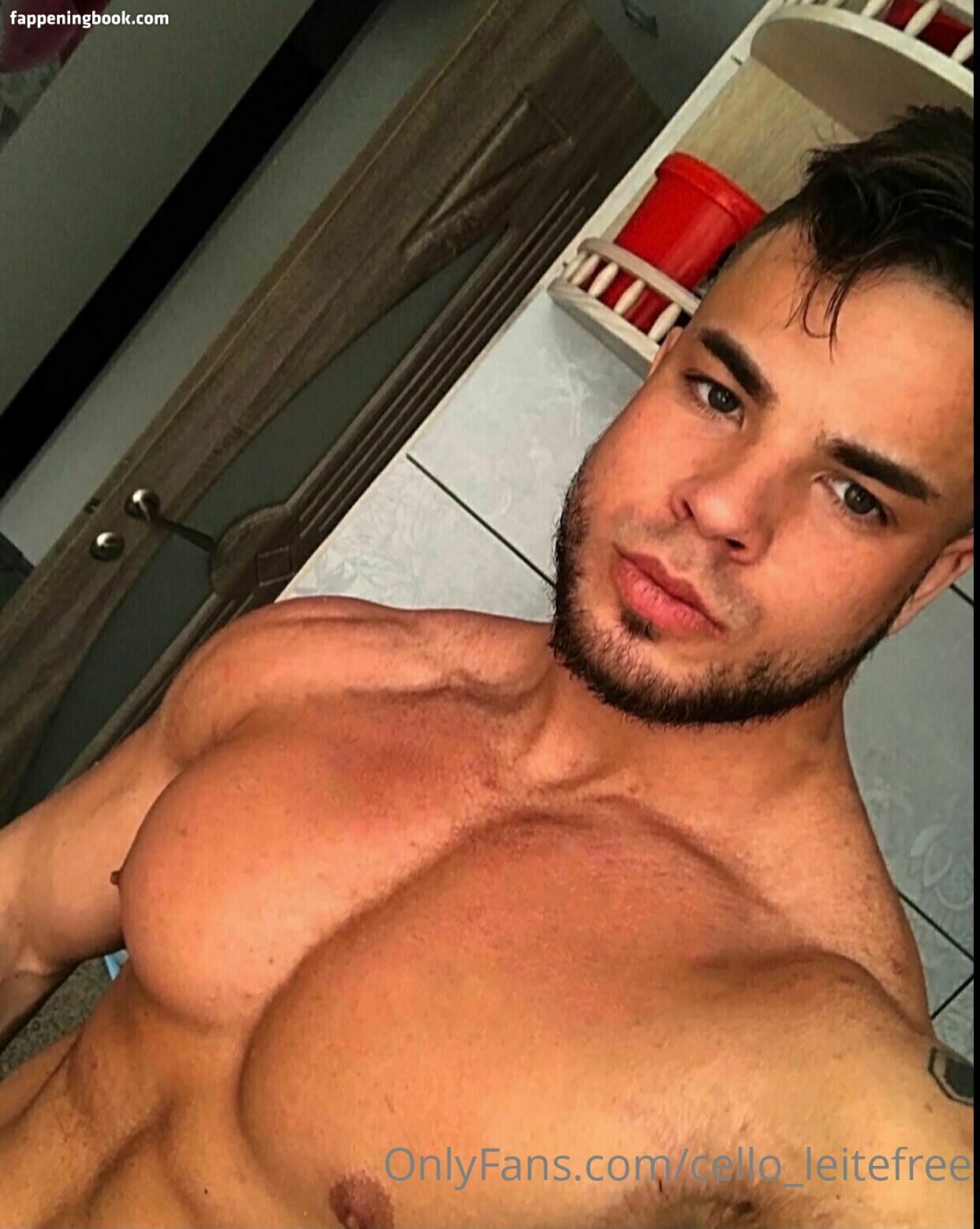 cello_leitefree Onlyfans Nude Leaked Photos photo leak 1 of 28