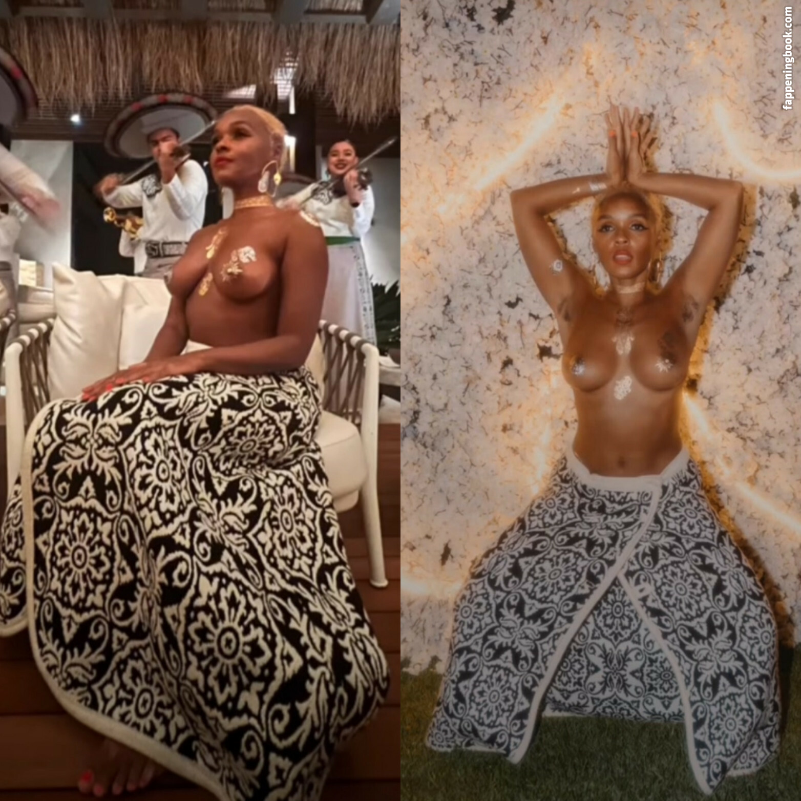 Janelle “Jane” Monáe Onlyfans Nude Leaked Photos photo leak 47 of 48