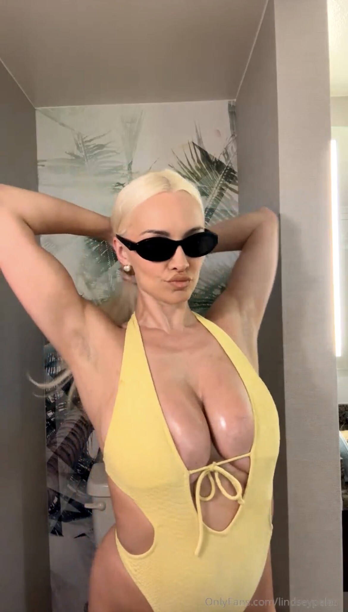Lindsey Pelas OnlyFans Nude Leaks photo leak 259 of 848