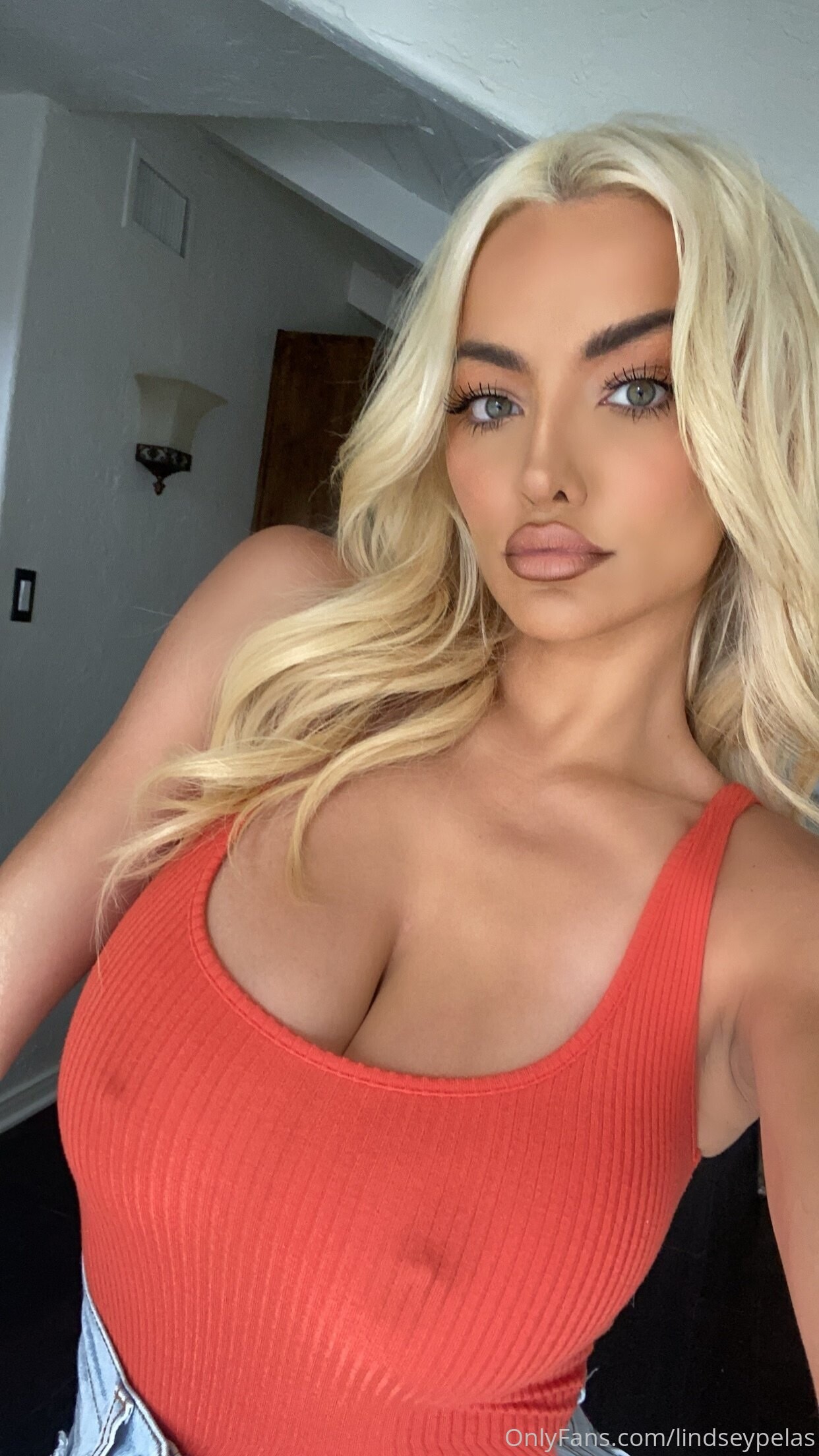 Lindsey Pelas OnlyFans Nude Leaks photo leak 646 of 848