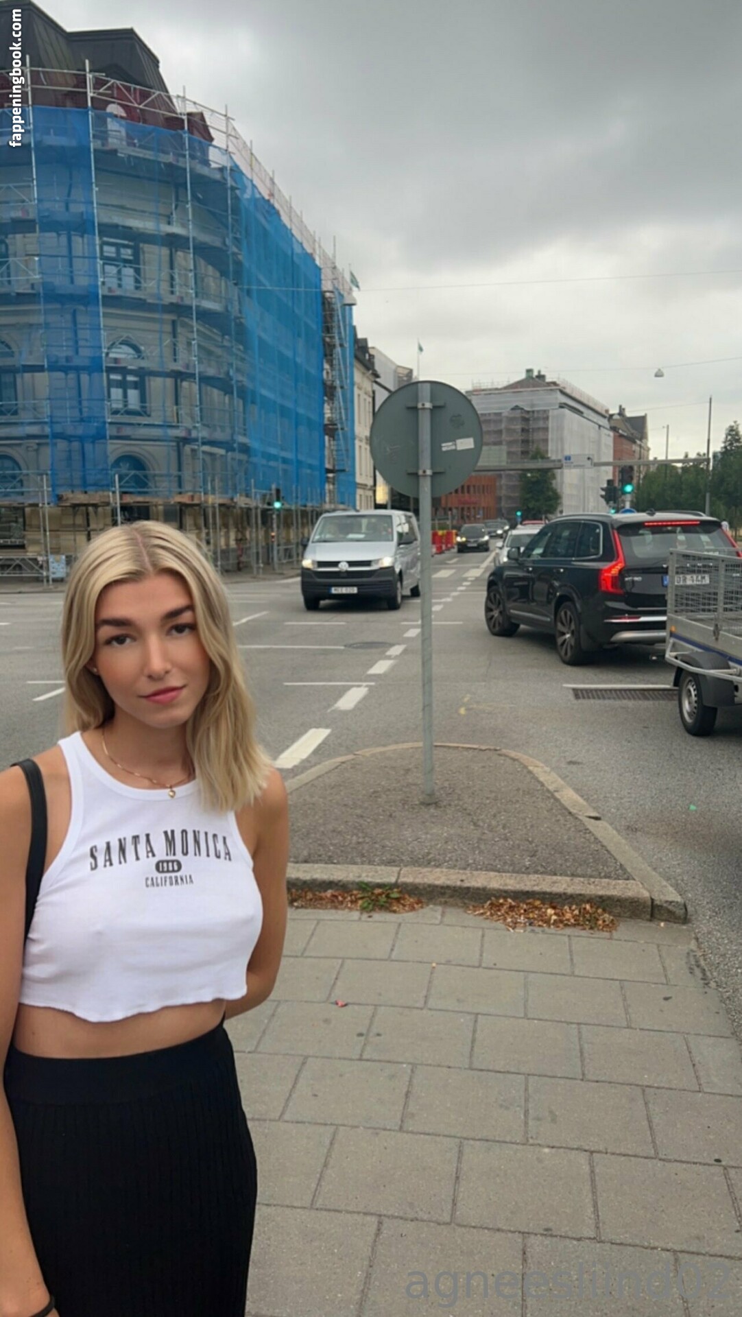 Agneesliind Onlyfans Nude Leaked Photos photo leak 39 of 46