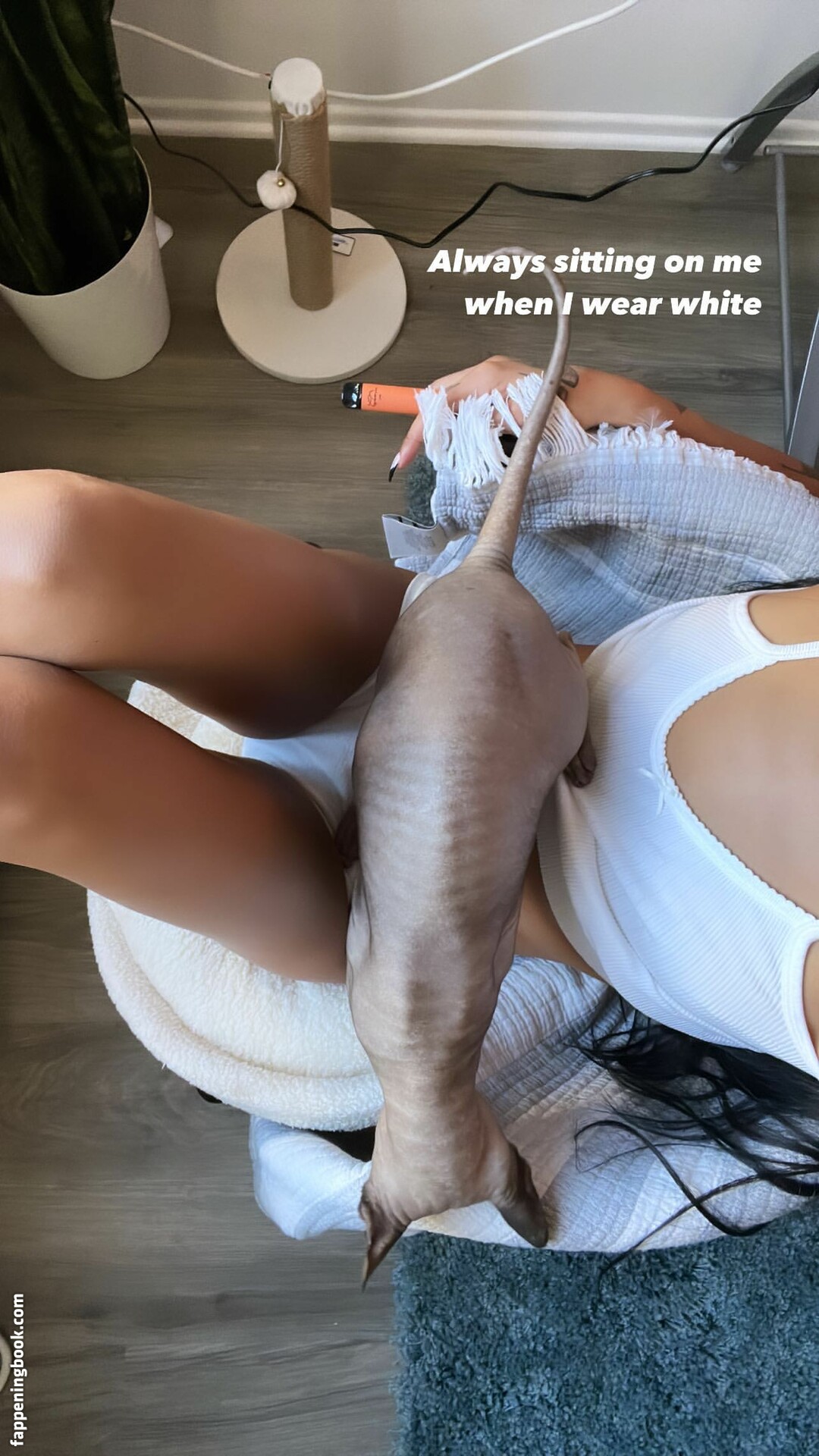 dreambabydrea Onlyfans Nude Leaked Photos photo leak 26 of 49
