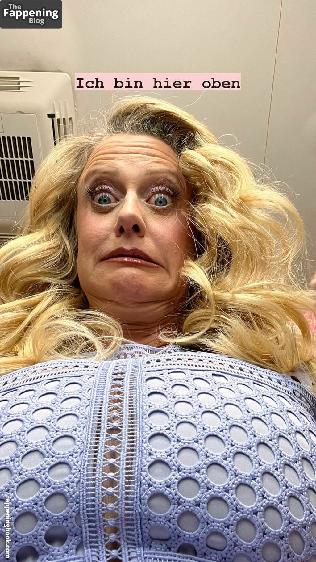 Barbara Schoeneberger Onlyfans Nude Leaked Photos photo leak 13 of 50