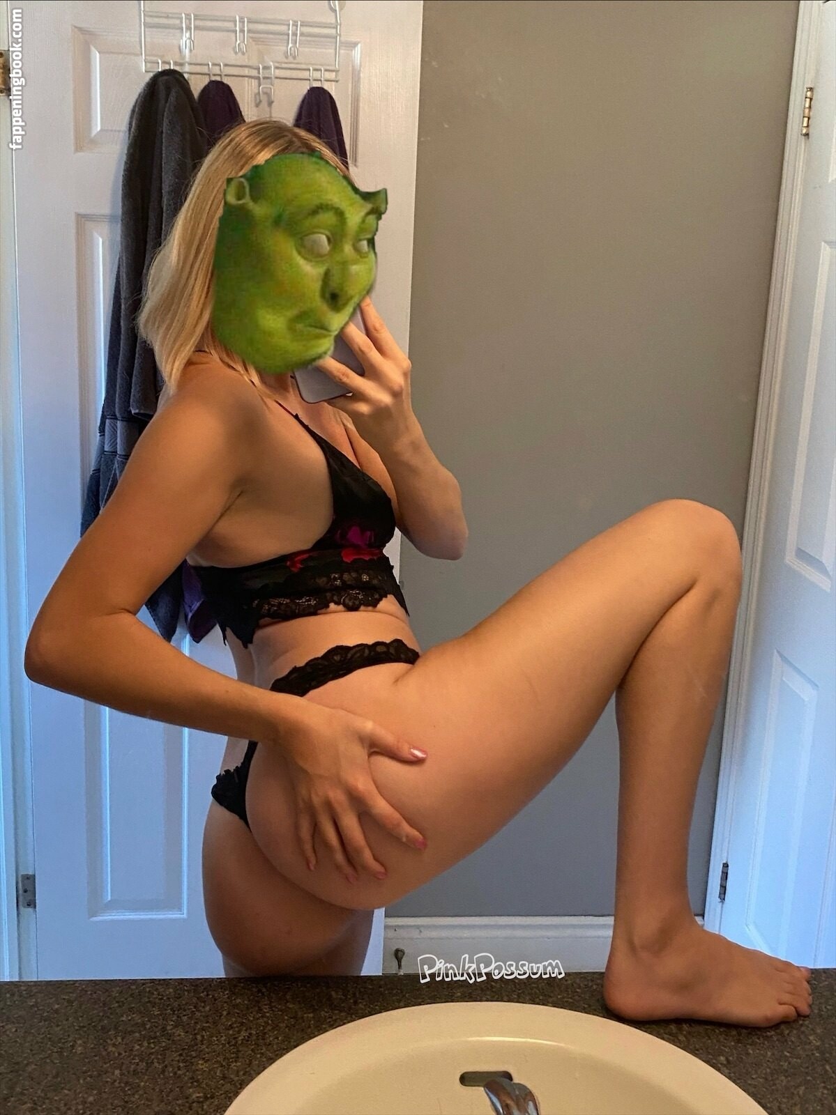 pinkpossum Onlyfans Nude Leaked Photos photo leak 26 of 34