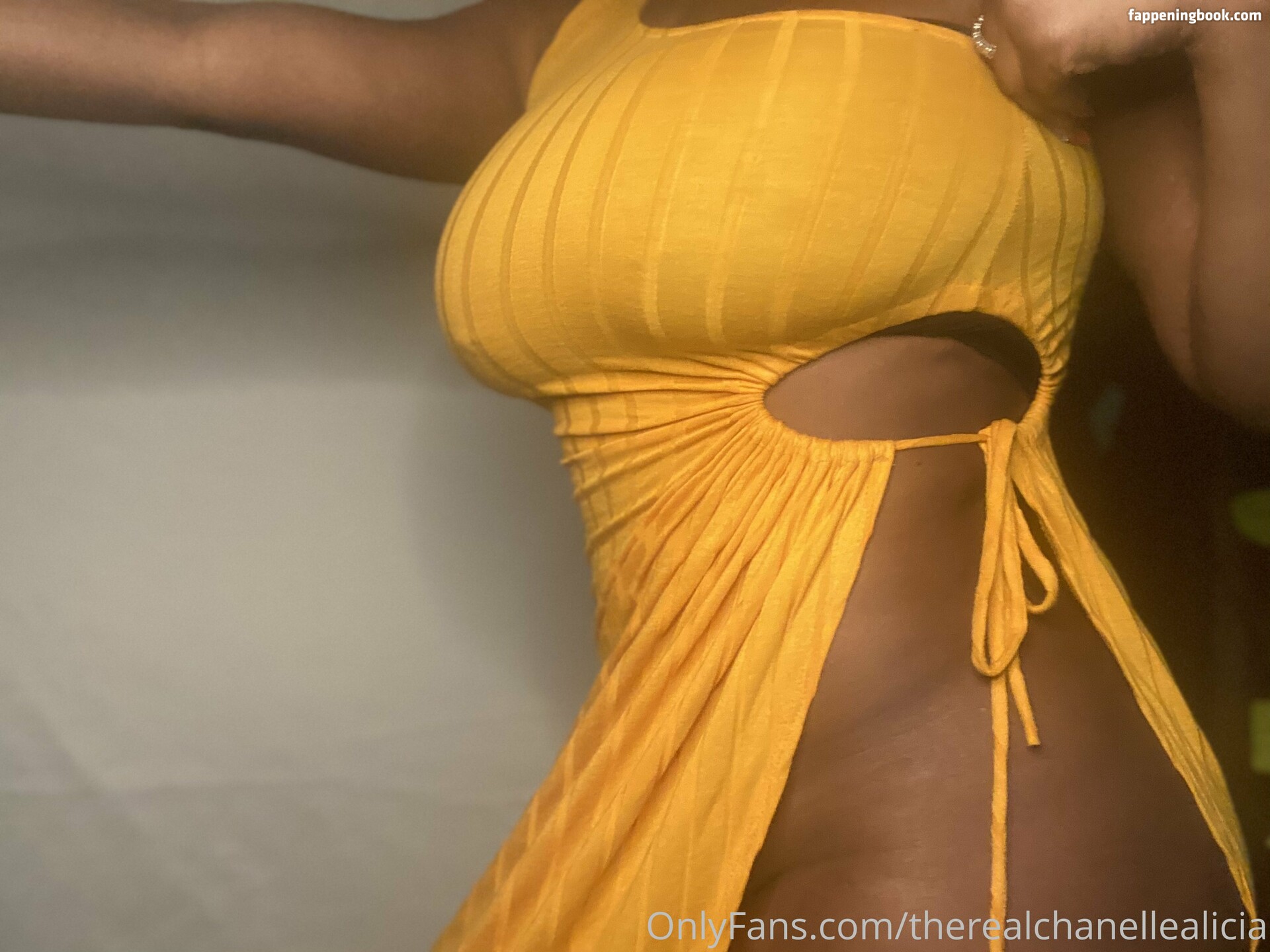 therealchanellealicia Onlyfans Nude Leaked Photos photo leak 3 of 44
