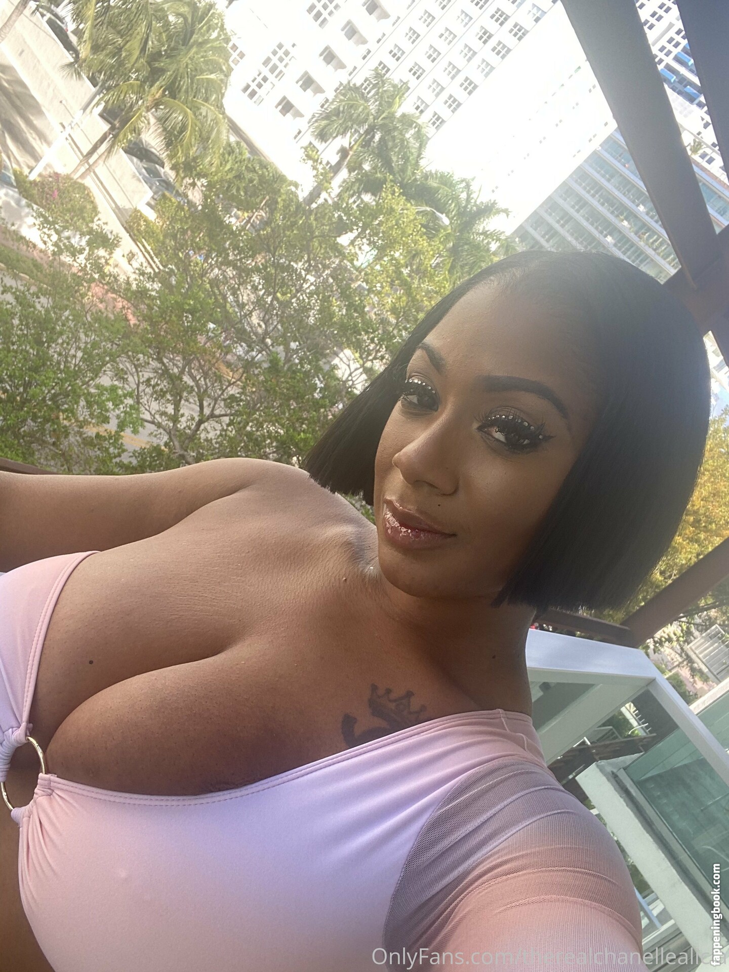 therealchanellealicia Onlyfans Nude Leaked Photos photo leak 30 of 44
