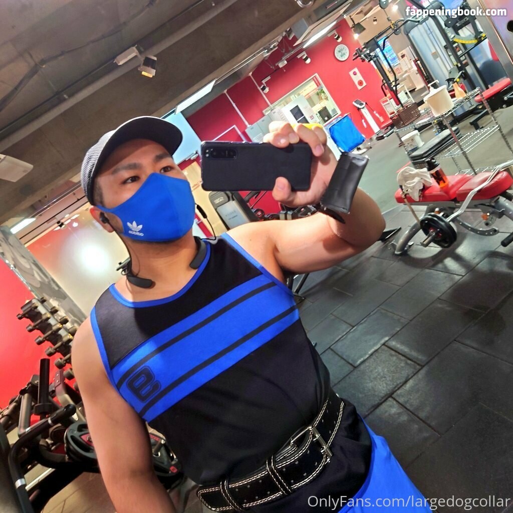 largedogcollar Onlyfans Nude Leaked Photos photo leak 1 of 25 largedogcollar Onlyfans Nude Leaked Photos photo leak 1 of 25