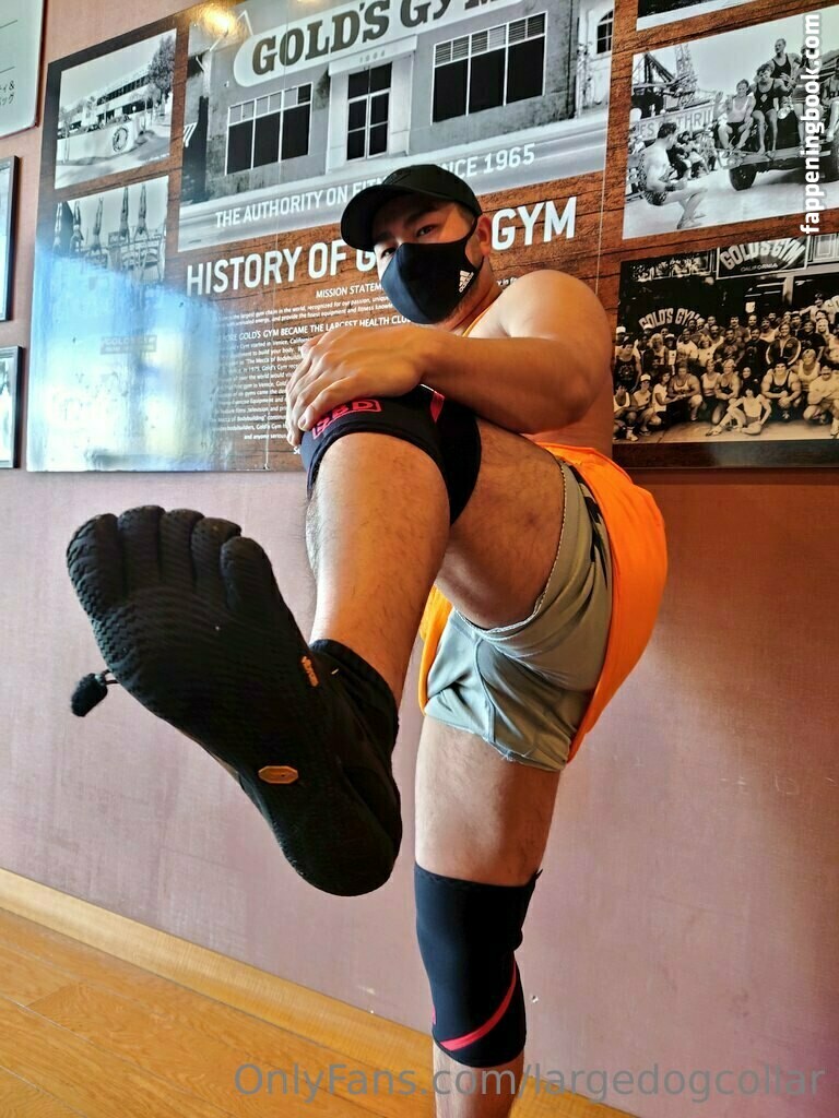 largedogcollar Onlyfans Nude Leaked Photos photo leak 2 of 25 largedogcollar Onlyfans Nude Leaked Photos photo leak 2 of 25