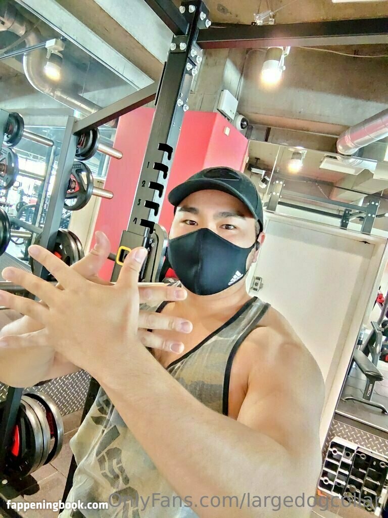 largedogcollar Onlyfans Nude Leaked Photos photo leak 5 of 25 largedogcollar Onlyfans Nude Leaked Photos photo leak 5 of 25