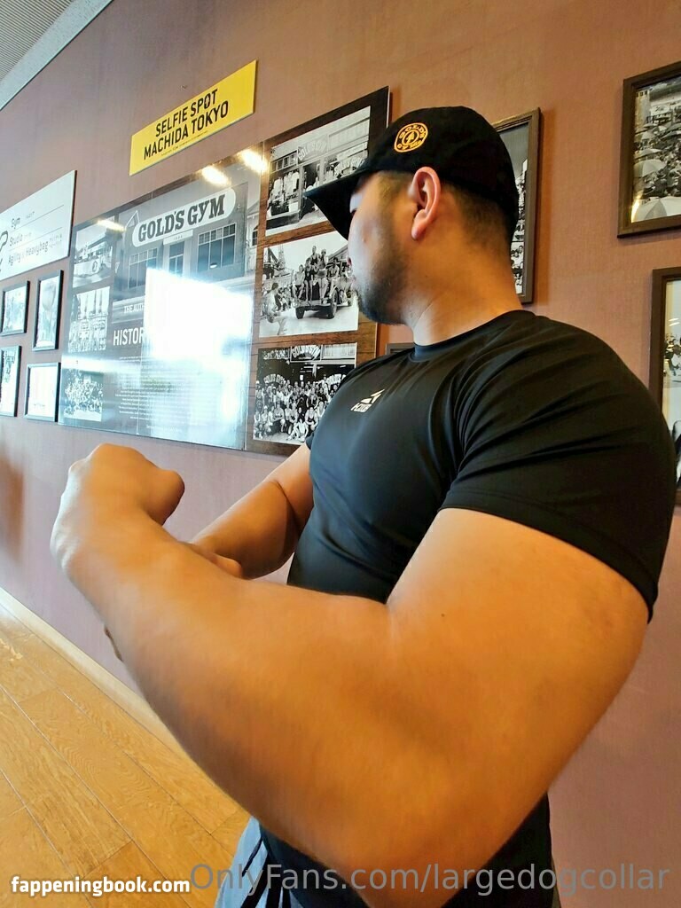 largedogcollar Onlyfans Nude Leaked Photos photo leak 8 of 25 largedogcollar Onlyfans Nude Leaked Photos photo leak 8 of 25