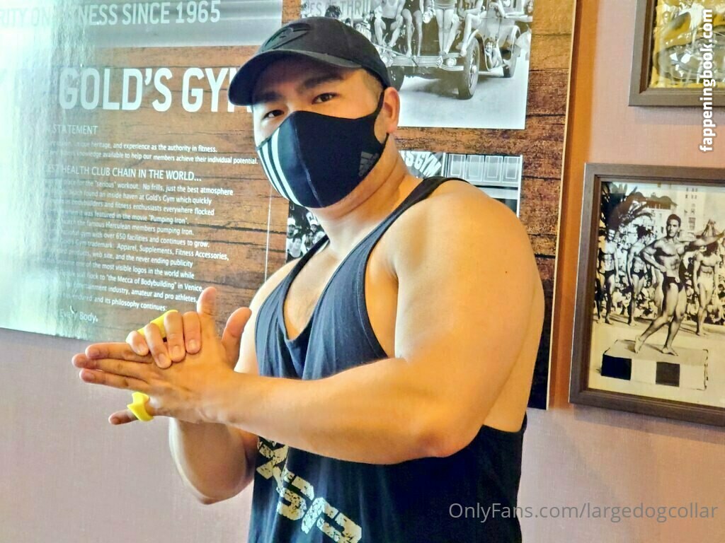 largedogcollar Onlyfans Nude Leaked Photos photo leak 10 of 25 largedogcollar Onlyfans Nude Leaked Photos photo leak 10 of 25