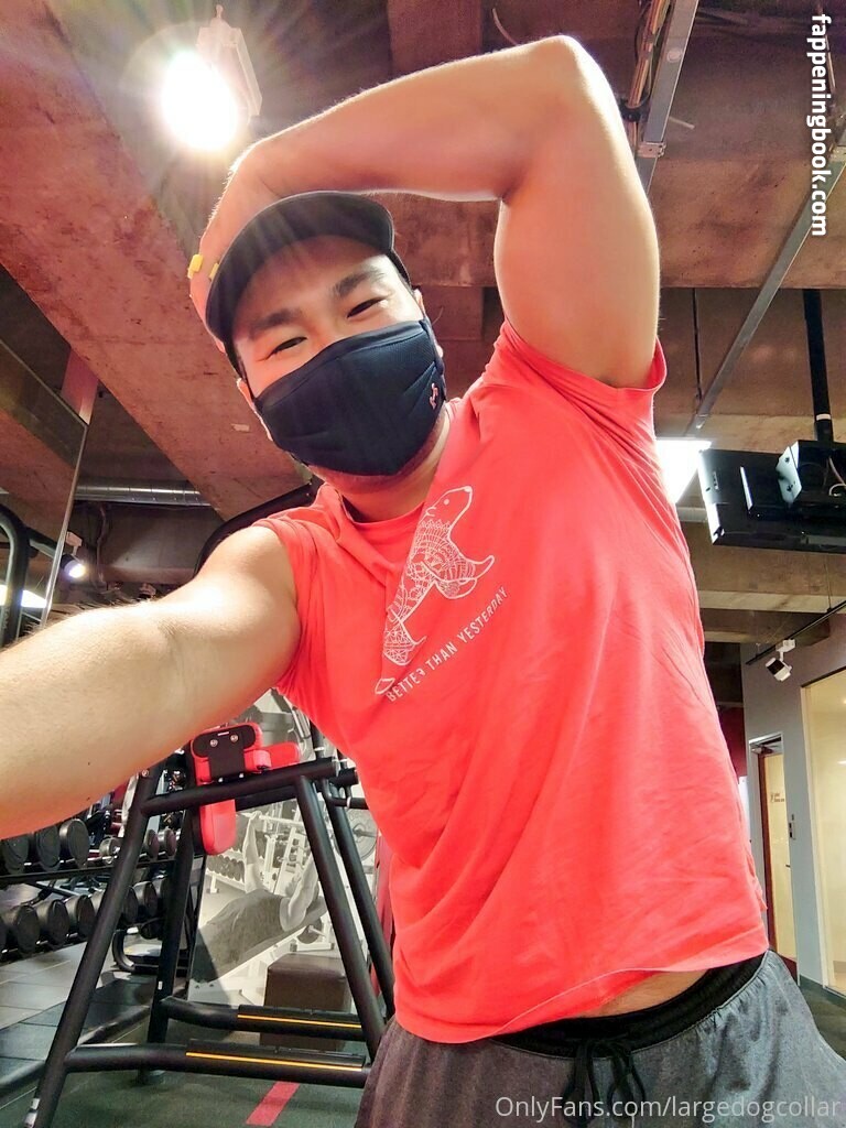 largedogcollar Onlyfans Nude Leaked Photos photo leak 14 of 25 largedogcollar Onlyfans Nude Leaked Photos photo leak 14 of 25