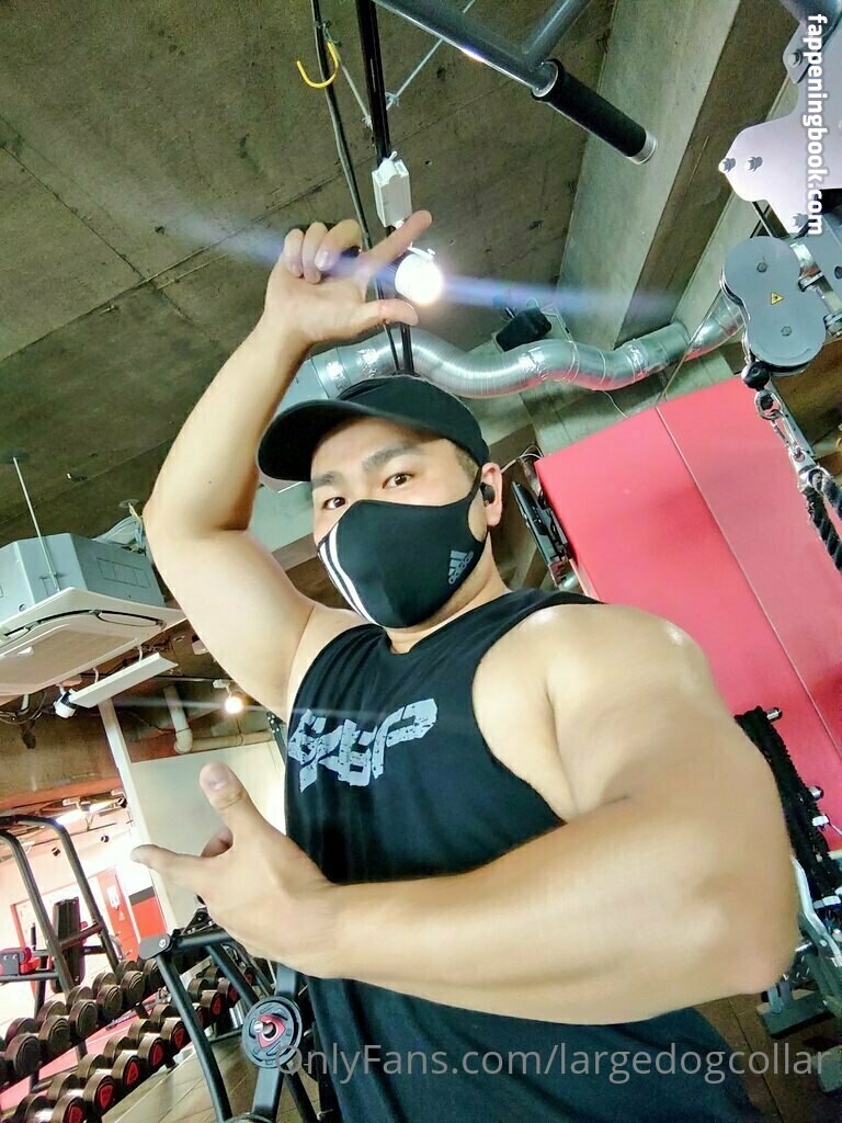 largedogcollar Onlyfans Nude Leaked Photos photo leak 17 of 25 largedogcollar Onlyfans Nude Leaked Photos photo leak 17 of 25