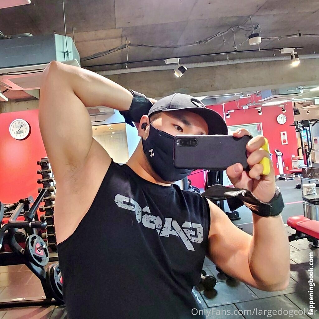 largedogcollar Onlyfans Nude Leaked Photos photo leak 20 of 25 largedogcollar Onlyfans Nude Leaked Photos photo leak 20 of 25