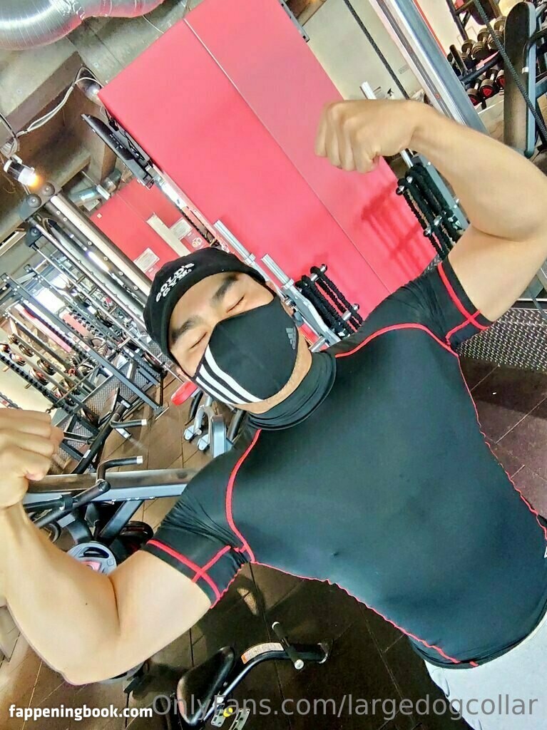 largedogcollar Onlyfans Nude Leaked Photos photo leak 21 of 25 largedogcollar Onlyfans Nude Leaked Photos photo leak 21 of 25